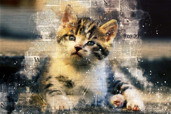 Unlocking Creativity with Printable Cat Graphics Pack 11: A Comprehensive Guide to Digital Art Integration